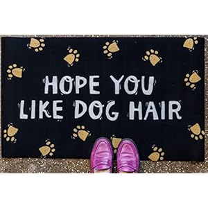Primitives rug hope you like dog hair  urban country home decor