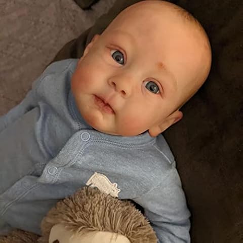 Zero pam Reborn Baby Dolls Boy 23 Inch Soft Silcione Baby Dolls That Look Real Looking Babies Lifelike Reborn Toddler Dolls for Girls Toys Cover