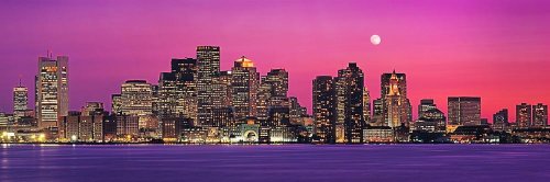 Walls 360 Peel & Stick City Skyline Wall Mural: Boston Skyline at Night (36 in x 12 in)