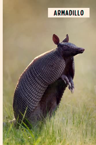 Armadillo: Composition Notebook For Armadillo Lovers , Armadillo Lined Journal ,6X9 Inches , 110 Pages ,Armadillo Diary