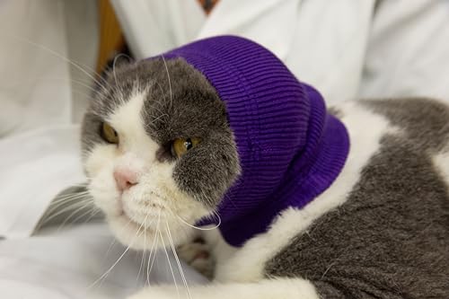 FDANDADE Cat Hematoma Ear Wrap, Cat Ear Wrap Cats Anxiety