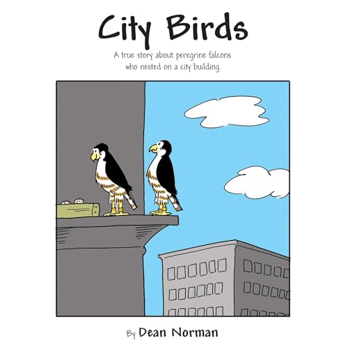City Birds cover art