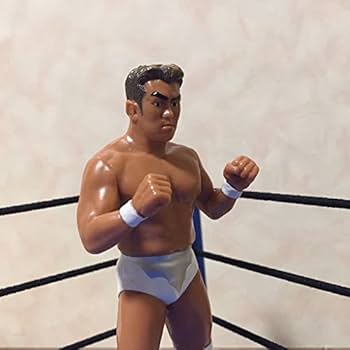 Amazon.co.jp: NOAH 秋山準 全日本プロレス 新日本 ZERO-ONE DDT