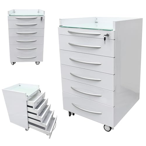 JARYANNIX 5 Drawer Dental Assistant\'s Mobile Cabinet Mobile Utility Storage Cart Office File Storage Cart Stainless Steel Moving Side Cabinet with Lock Wheels for Dental Medical Office Home