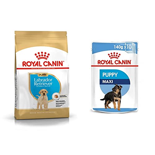 Image of Royal Canin Labrador Junior Pellet Dog Food, Meat Flavour 12 Kg&Royal Canin Maxi Puppy Wet Gravy Pouch,14(Packof10) with