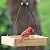 Wild Wings WWCF23 Cedar Tray Bird Feeder