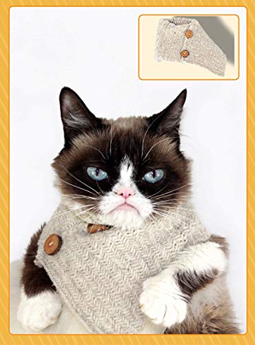 気難し屋の猫　Ultra Pro　Grumpy Cat Amazon.com: Ultra Pro Official Grumpy Cat Cozy : Toys & Games
