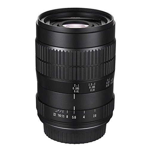 Lentille ultra-macro 60mm f/2.8 pour photographier la nature et les insectes avec Olympus M4/3