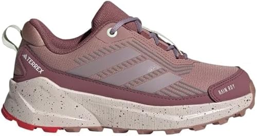 adidas jp qp Terrex Trailmaker 2 Climaproof nCLOV[Y(grbOLbY)Xj[J[, Silver Dawn/Z~Rogu[/p[vo[Xg, 6.5 Big Kid