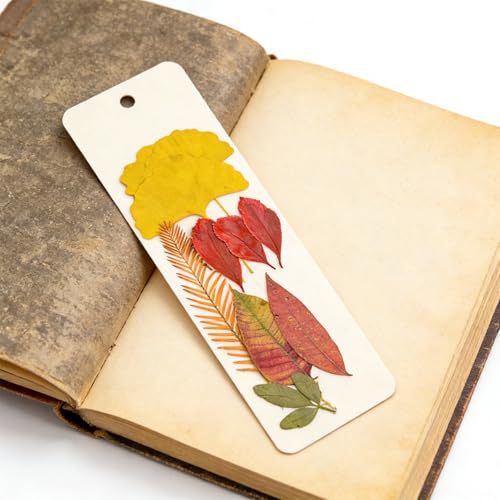 Set de Flores Naturales Prensadas para Arte y Joyería miniatura 7
