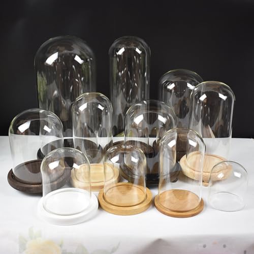 Cúpula de cristal transparente con base de madera portátil de 9x24cm para casa 4
