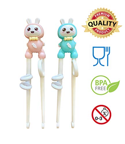 Everyday Delights Rabbit Training Chopsticks for Right-handed Children, Kids & Teens, 2 pairs