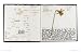 Derek Jarman's Sketchbooks