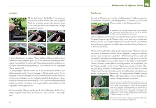 Der Schildkröten-Gärtner - Naturnahe Ernährung Europäischer Landschildkröten: Über 65 geeignete Futterpflanzen sowie Anleitungen, Tipps und Tricks zur ... zur Haltung Europäischer Landschildkröten)