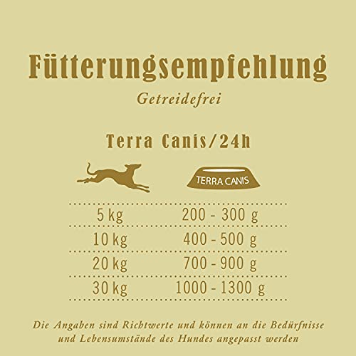 Terra Canis Kalb, Petersilienwurzel, Mango & Johannisbeere - Getreidefreies Nassfutter, 6x400g I Premium Hundefutter in 100% Lebensmittelqualität Aller Rohstoffe I Reichhaltig, gesund & glutenfrei