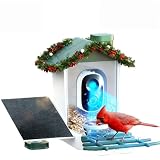 3K/5MP Ultra HD Bird Feeder