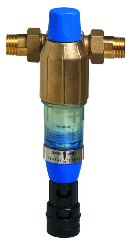 BWT-Rückspülfilter Bolero 2" PN 16