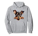 Photo Gallery cane di razza cucciolo doberman pinscher in vena di coccole felpa con cappuccio Photo Gallery cane di razza cucciolo doberman pinscher in vena di coccole felpa con cappuccio
