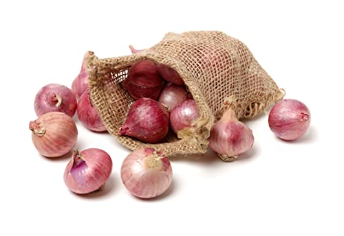 Wisebuy Bombay Onions 3Kg