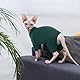 Hjyokuso Katzenbekleidung, Katzenpullover, Sphynx Pullover Mit Vier Beinen, Katzenbody Nach Op, Katzen Kleidung, Pullover Für Katzen, One Piece Pullover Für Sphynx,Cornish Rex,Devon Rex,Peterbal