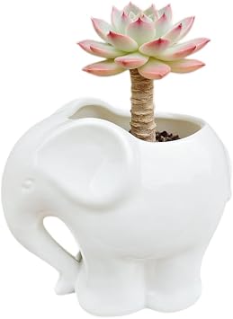 Cute Animal Elephant Shaped Ceramic Succulent Cactus Air Plant Flower Pots Planters-Plant Not Include 4" White