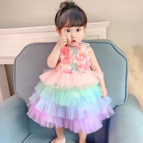 Image of Hopscotch Baby Girl's Fit & Flare Long Dress