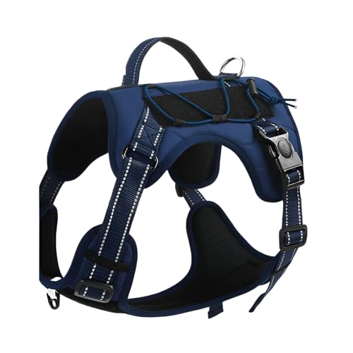 [Yizibuur]ybgn[lX h~@\ ˑfޓ ȒPE݌v ʋC \  p U s ԏƖΉ Kf G߂킸