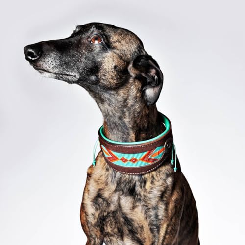 DWAM Hundehalsband – Hundehalsband – Türkis – Leder – S – 22–26 x 4 cm – Paddy Lee Windhund - Halsumfang zwischen 22-26 cm