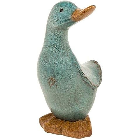 Davids Aqua Duck Small Cover