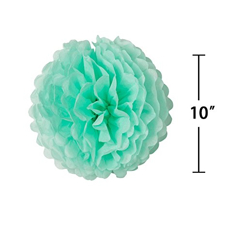 Happy Birthday Decorations Banner With Tissue Pom Poms For Rainbow Birthday Party Supplies #TOP3