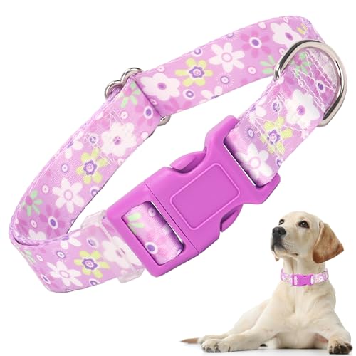 Girl Dog Collar with Purple Floral Patterns, Adjustable Cute Soft Pet Collar with Quick Release Buckle for Small Medium Large XL Dogs (Purple Flower M)