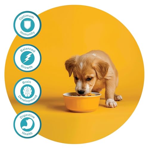 Image of Fidele+ Starter Puppy Food | 900g | DHA for Brain Development | Gentle Digestion | Ideal for Weaning Puppies & Mothers