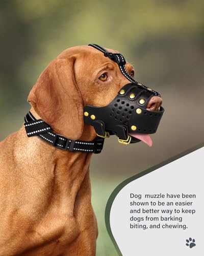 Dog Muzzle, Leather Basket Soft Muzzles Medium Large Breeds, Pitbull Dog Muzzle Amstaff Muzzles Staffordshire Terrier, German Shepherd Dalmatian Doberman Adjustable Breathable Muzzles for Dog (L)