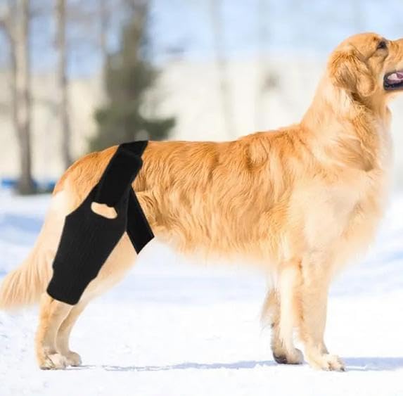 Miniatura 7 de Rodillera para perro para pierna trasera de ACL desgarrada  Soporte ajustable para pierna trasera de perro  Rodillera ACL para perro con