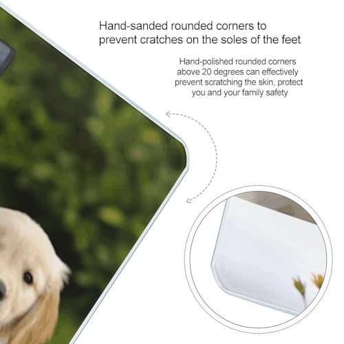 Báscula digital de baño tema Golden Retriever 400 lb vidrio templado miniatura 4