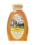 Ginger Honey | Winter Park Honey (Pure Raw Unfiltered)