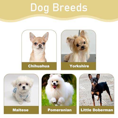 Hundemaulkorb verhindert Beißen und Fressen Bellen und Kauen, 8-13cm Verstellbarer Nylon-Maulkorb mit atmungsaktivem Netz, Hundemaulkorb für kleine bis mittelgroße Hunde, für Training und Spaziergänge