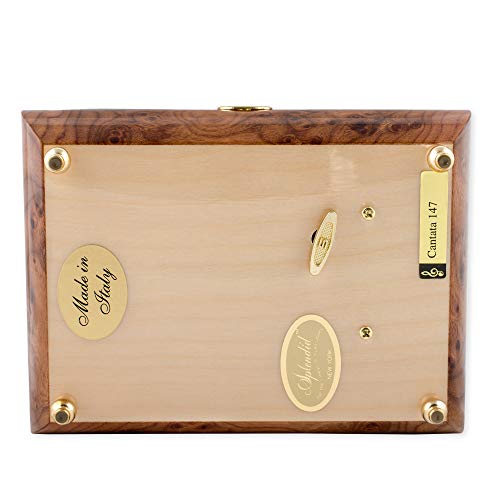 Floral Italian Hand Crafted Inlaid Wood Jewelry Music Box Plays Somewhere In Time #TOP6