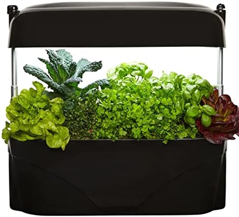 vegepod - Kitchen Garden - Gourmet Herb and Vegetable Indoor Grow Kit, Self Watering, LED Grow Light (Black)