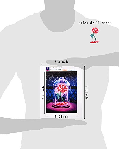 Pittura a mosaico fai da te 5D, pittura con i