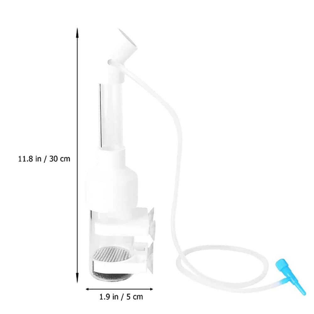 Incubateur d'œuf de poisson pour bébé - 50 mm - Pour aquarium, cichlidé, aquarium