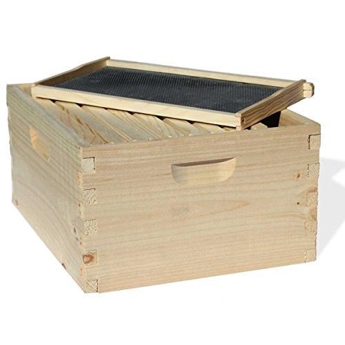 Best Bee Hive Boxes