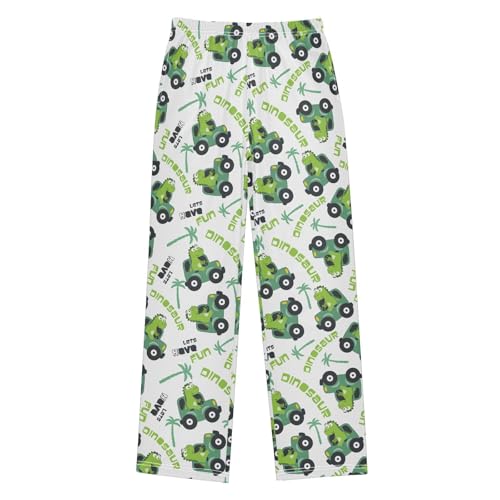 ZZXXB Dinosaur Has Fun Boys Long Pants Soft Trousers Elastic Waist Kids Lounge Bottoms with Pockets S-XL