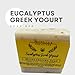 Michelle's Creatives Eucalyptus Greek Yogurt Soap Bar - Handmade Bath Soaps made With Organic Greek Yogurt - Natural Moisturizing Soap Bar - Vegan and Luxury Soap for Sensitive Skin