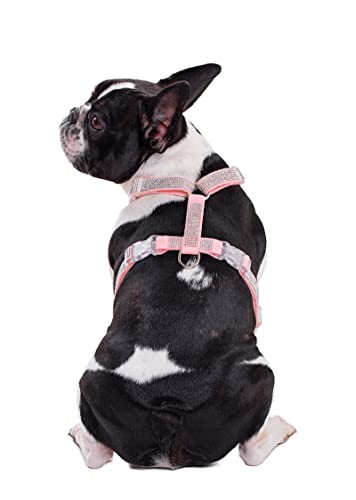 BT Bear Hundegeschirr, glitzernde Strasssteine, verstellbar, sichere Schnalle, Haustiergeschirr für Katzen, kleine Hunde, mittelgroße Hunde (Rosa, S)