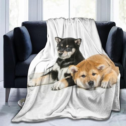 ѕz Č    킢 Aj Ђ| y  uPbg tl 􂦂 ÓdCh~ g _炩 Ȃ߂炩ȔG lGKp 蕨 127×152cm yt268 60x50inch