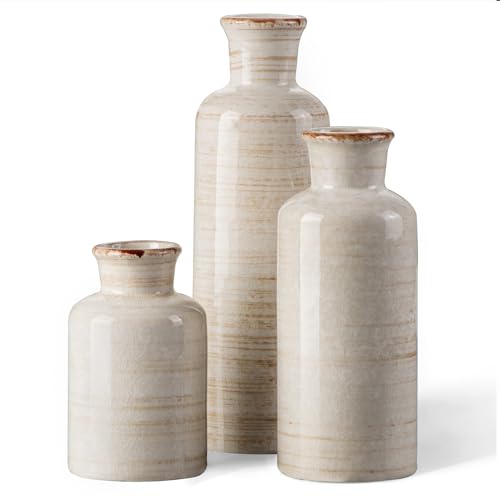 CwlwGO- Ceramic Rustic Vase 3 Piece Set,Small vase...