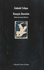 Ensayos Literarios: 13 (Visor de Poesía Maior)