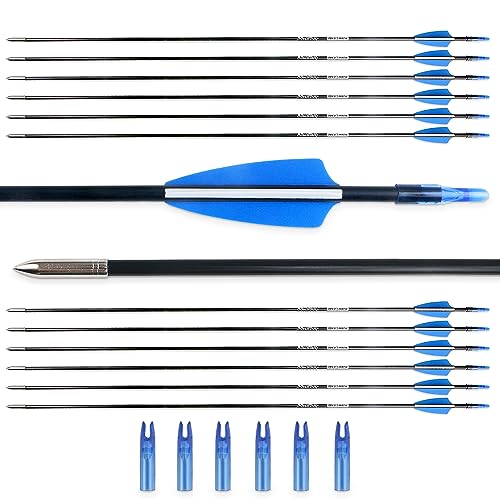 BOWSOUL 31“ Archery Arrows Training Practice Target Arrows for Kids Youth or Beginners Streamlined Points Durable Shaft on Recurve Bows Youth Bow and Longbows(Pack of 12)
