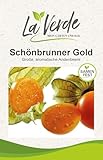 La Verde MEIN GARTEN UND ICH. Schönbrunner Gold Physalis Samen für ca. 30 Pflanzen, Andenbeere, süß-säuerlich fruchtig, Saatgut ohne Gentechnik